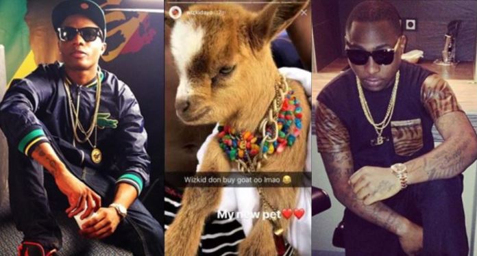 DAVIDO REACTS TO WIZKID’S NEW PET GOAT