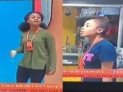 #BBNaija: Nina and Cee-C Almost Came to Blows in The Big Brother House [Videos]