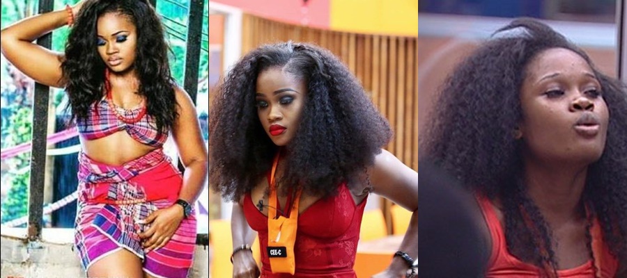 #BBNaija: Cee-C Emerges First Housemate To Trend Worldwide
