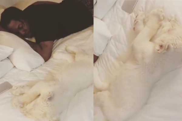 Run Town Celebrates Xmas with his pet Lion on bed, shares video