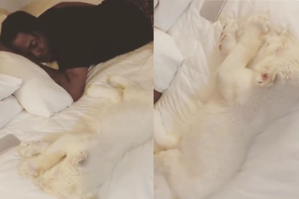 Run Town Celebrates Xmas with his pet Lion on bed, shares video
