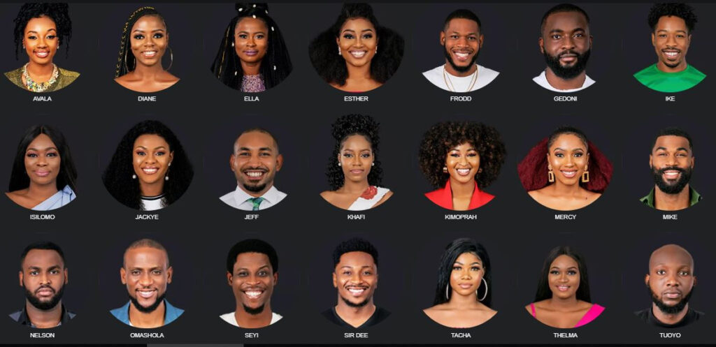 BBNaija: Meet The 4th Season 21 New Housemates