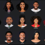 BBNaija: Meet The 4th Season 21 New Housemates