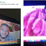 #BBNaija2019: Frodd finally gets a kiss from Esther, tells Biggie he prays for more