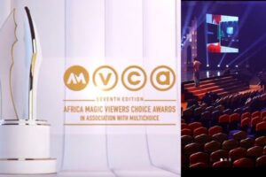 Looks from the AMVCA