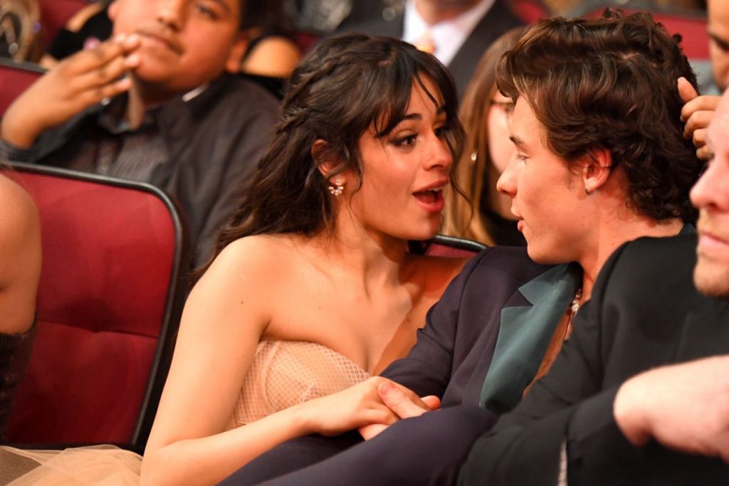 Shawn Mendes and Camilla Cabello End Five Years of Friendship