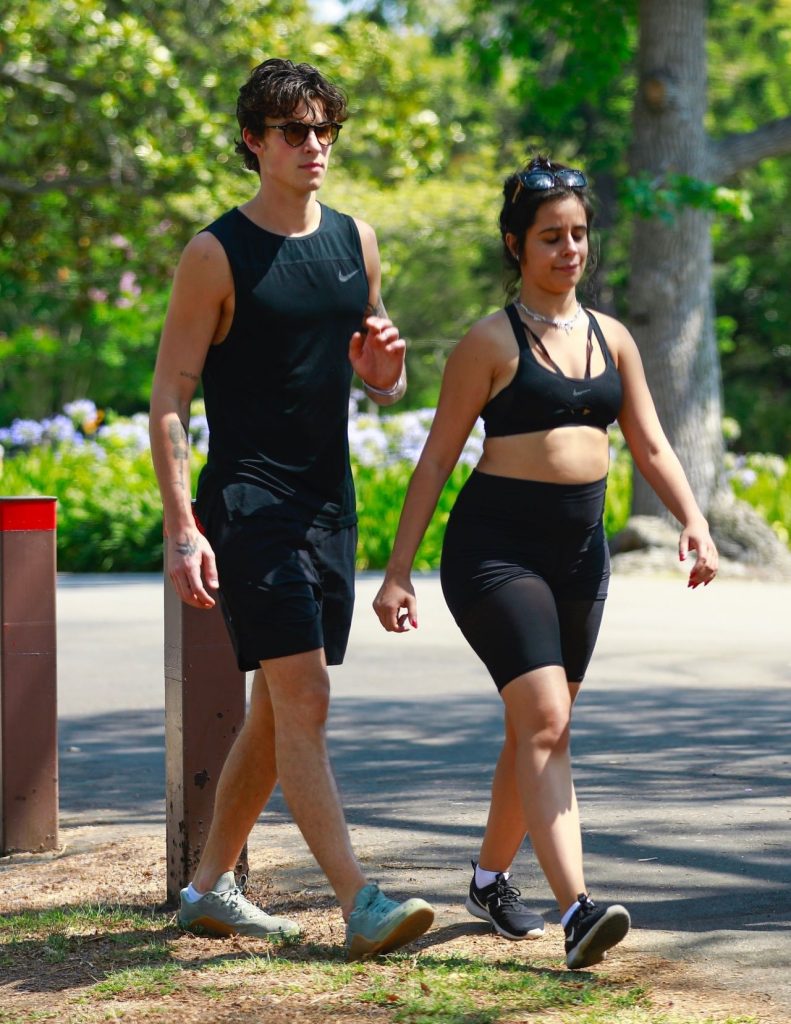 Shawn Mendes and Camilla Cabello End Five Years of Friendship