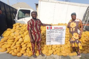 NDLEA Arrests 61-Year-Old Drug Kingpin Alhaja Aishat Feyisara Ajoke Elediye in Lagos