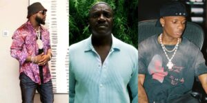 Akon Shares Insightful Views on Nigeria's Top Music Stars: Burna Boy, Wizkid, and Davido