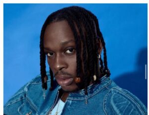 Fireboy DML Turns a Concert into a Fairytale Moment