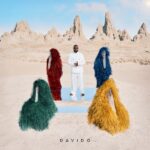 Davido’s ‘With You’ Lands on Spotify’s 2025 Songs of the Summer List