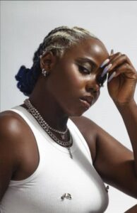 Sweet Yet Nuclear performing or speaking about the inspiration behind All In Order and her cultural musical influences.