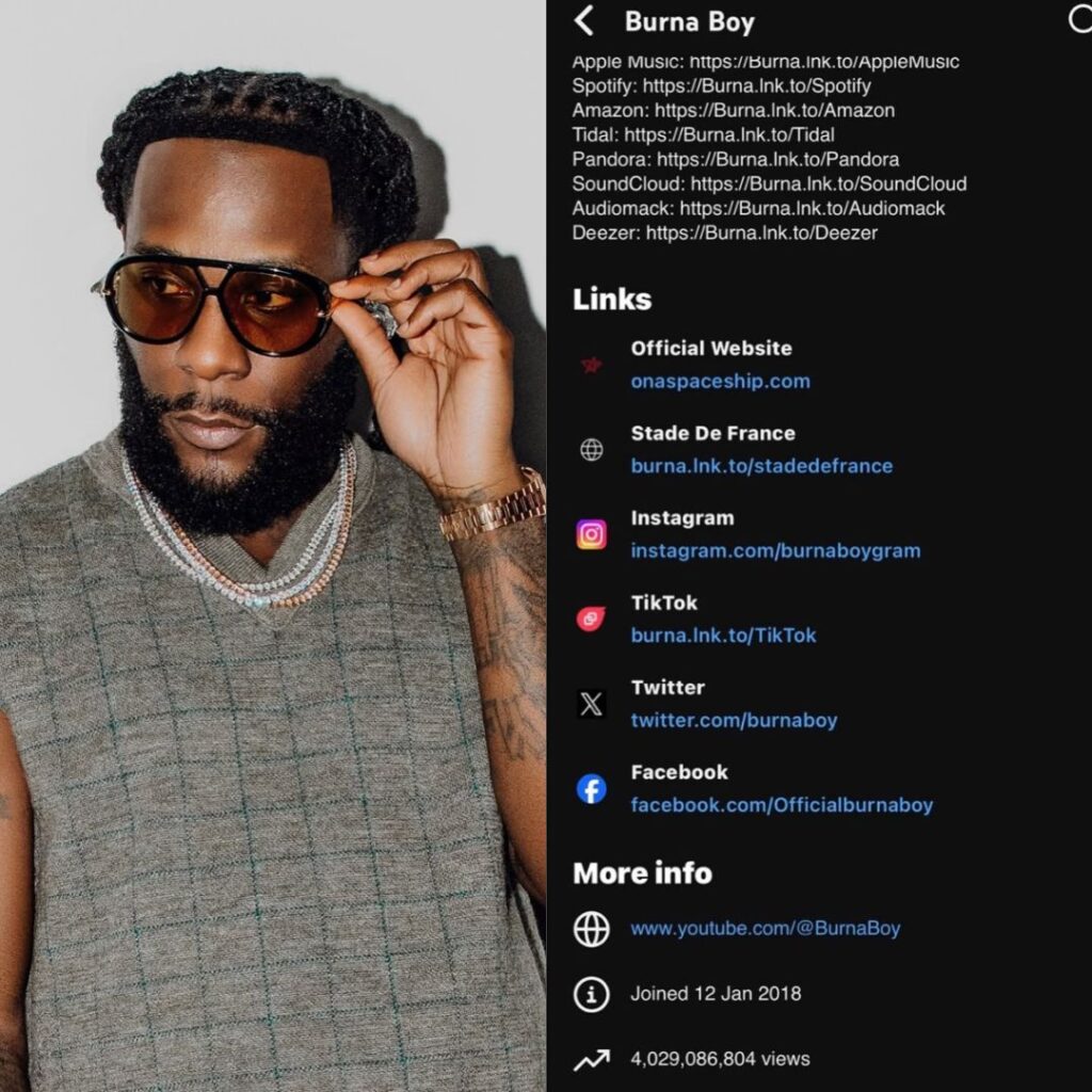Burna Boy performing on stage during an international concert