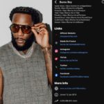 Burna Boy performing on stage during an international concert